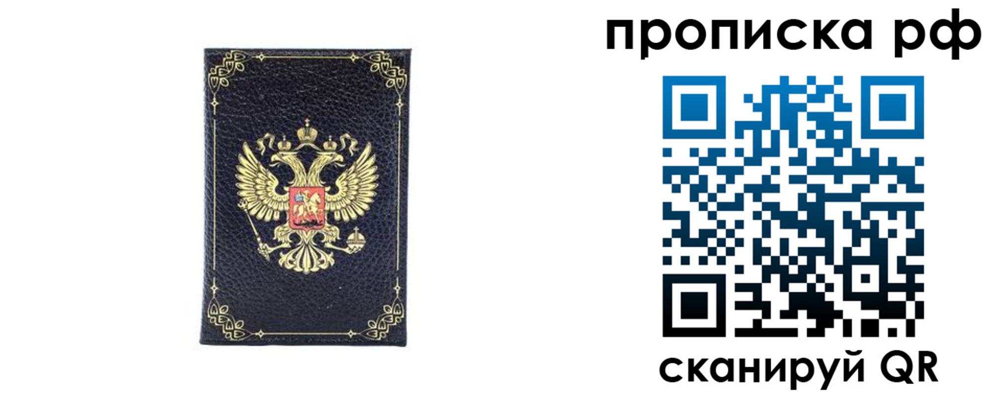 прописка для школы в Ясном
